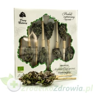 HERBATKA NA PATYKU 8 SZT. EKO Miętowe orzeźwienie