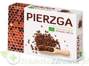 Pierzga.jpg