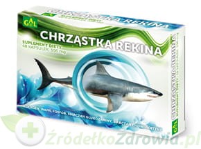 Chrzastka_rekina.jpg