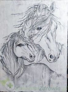 " Tajemnica Koni " 60x80cm