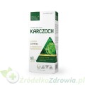 Karczoch-przód.jpg