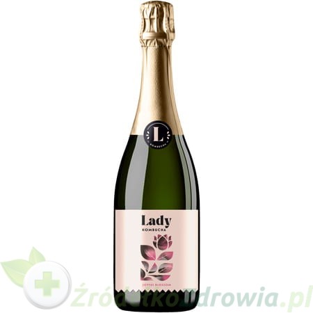 pol_pm_Lady-Kombucha-JOYFUL-BLOSSOM-750ml-199_2.jpg